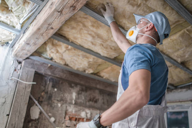 Best Specialized Insulation Services in Fernley, NV