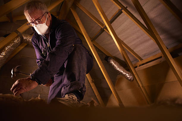 Types of Insulation We Offer in Fernley, NV
